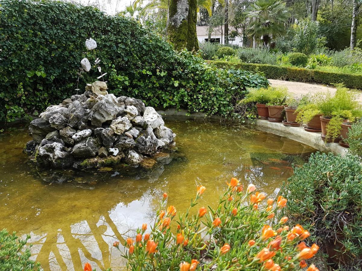 Quinta Da Bizelga Cottages Tomar Eksteriør billede