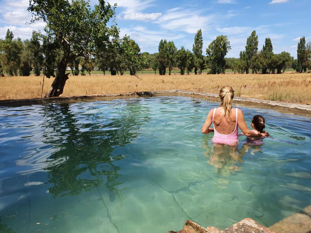 Quinta Da Bizelga Cottages Tomar Eksteriør billede